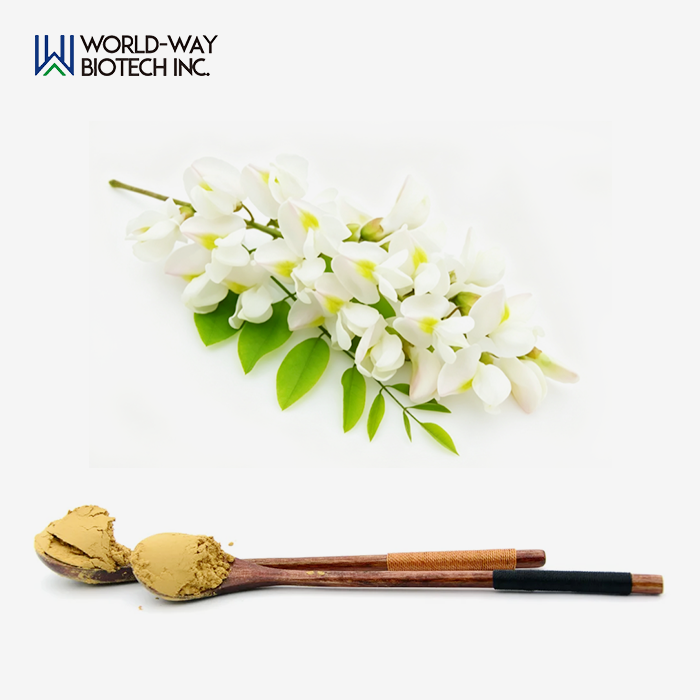 Sophora Japonica Extract Powder Sophora Japonica Extract Powder